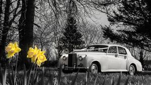 Rolls Royce Silver Cloud - 1958 Wedding car. Click for more information.