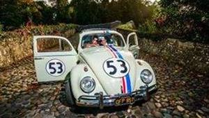 VW Beetle Wedding car. Click for more information.