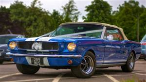 Ford 1966 Mustang GT Wedding car. Click for more information.