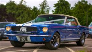 Ford,1966 Mustang GT,Blue