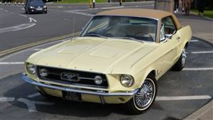 Ford 1967 Mustang Wedding car. Click for more information.