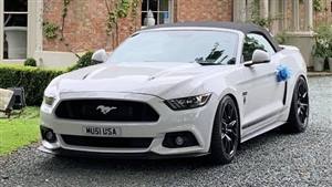 Ford Mustang GT Shadow Ed. Wedding car. Click for more information.