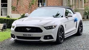 Ford,Mustang GT Shadow Ed.,White