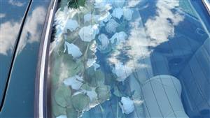 Get a wedding car quote.