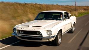 Ford Mustang GT 350 Shelby Wedding car. Click for more information.
