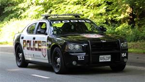 Dodge Charger Pursuit 5.7 V8 HEMI Wedding car. Click for more information.