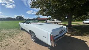 Get a wedding car quote.